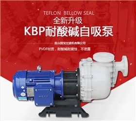 KBP耐酸堿自吸泵 KBP耐酸堿自吸泵
